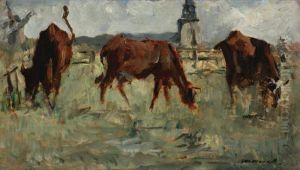 Vaches Au Paturage