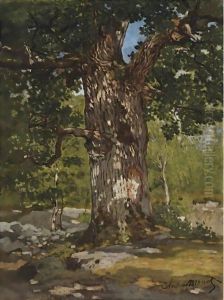 Un Chene Au Bas-Breau, Le Bodmer