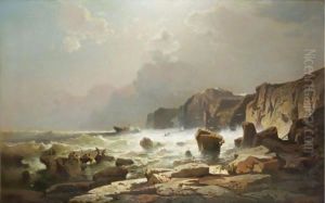 The Swedish Coast