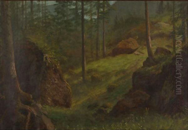 Wooded Hillside - view 1