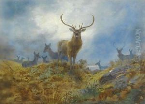 The Last Chance Before Dark by Archibald Thorburn