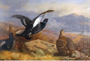 Black Grouse In A Highland Landscape With Red Deer In The Background by Archibald Thorburn
