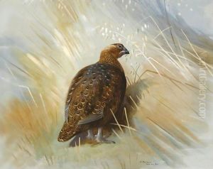 Grouse
