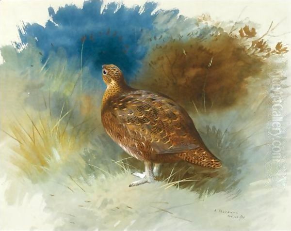 Grouse 2 - view 1