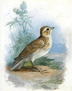 Skylark by Archibald Thorburn