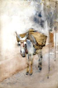 The Arab Donkey The Arab Donkey