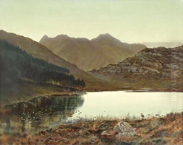 Blea Tarn At First Light, Langdale Pikes In The Distance - view 1