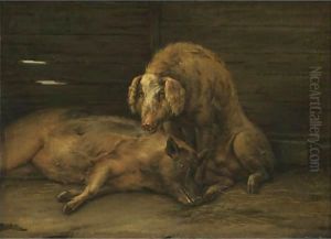 Two Pigs In A Sty by Paulus Potter