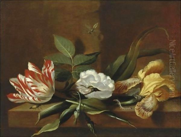 Still Life With A Yellow Iris, A Parrot Tulip, A White Rose And Insects On A Wooden Table Ledge - view 1