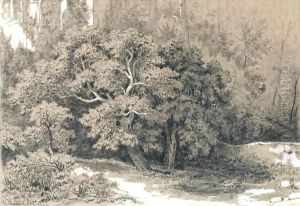 Forest Clearing by Ivan Shishkin