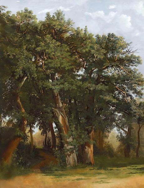 Groupe De Chenes Group Of Oak Trees - view 1