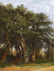 Groupe De Chenes Group Of Oak Trees