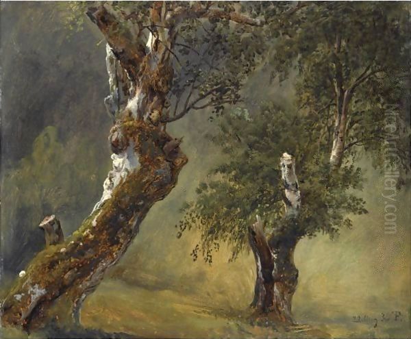 Studie Av Trar (Study Of Trees) - view 1