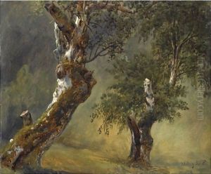 Studie Av Trar (Study Of Trees) by Thomas Fearnley