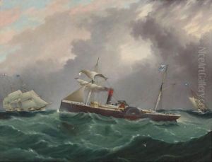 Steam Sailer, San Salvador