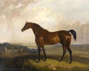 A Bay Horse In A Landscape