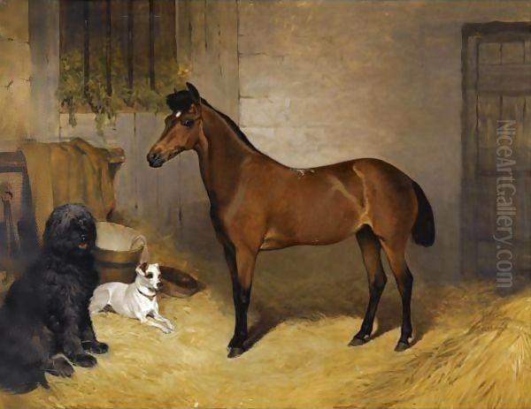 A Chestnut Horse With A Sheepdog And Terrier In A Stable - view 1