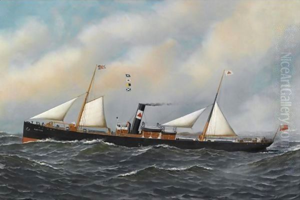 The Screw Steamer Honiton - view 1