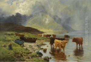 Rainswept Hills