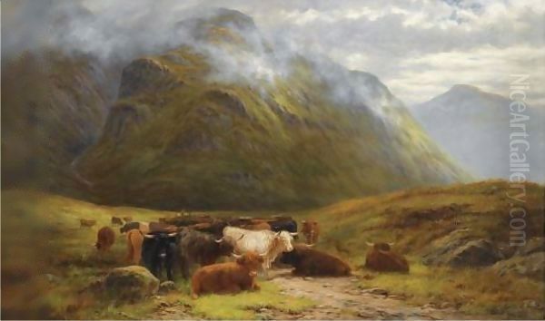 Highland Cattle Resting Near Buchal Etive, Glen Coe - view 1