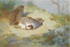 A Pair Of Partridges On A Sandy Bank