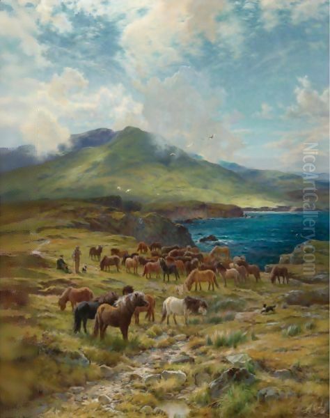 Highland Sunshine - view 1