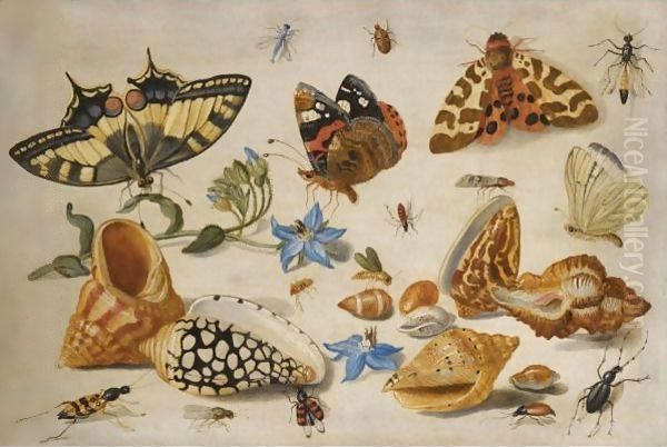 A Swallowtail (Papilio Machaon), Red Admiral (Vanessa Atalanta) And Other Insects With Shells And A Sprig Of Borage (Borago Officinalis) - view 1