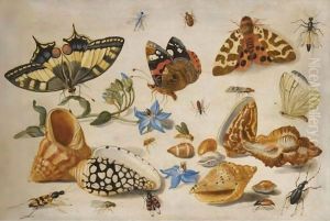A Swallowtail (Papilio Machaon), Red Admiral (Vanessa Atalanta) And Other Insects With Shells And A Sprig Of Borage (Borago Officinalis) A Swallowtail (Papilio Machaon), Red Admiral (Vanessa Atalanta) And Other Insects With Shells And A Sprig Of Borage (Borago Officinalis)