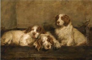 Clumber Spaniels In A Kennel by John Emms