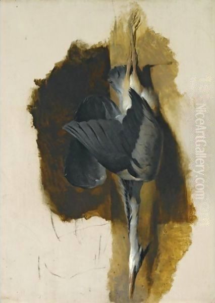 Study Of A Dead Heron - view 1