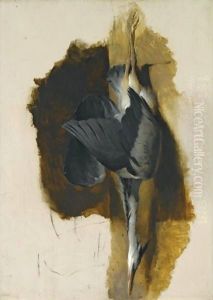 Study Of A Dead Heron by Sir Edwin Henry Landseer