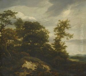 A Wooded Dune Landscape by Jacob Van Ruisdael