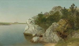 Study Of Rocks, Newport