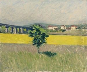 Prairie Au Pont D'Argenteuil