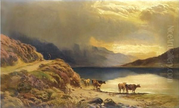 Cattle Watering Beside A Highland Loch - view 1