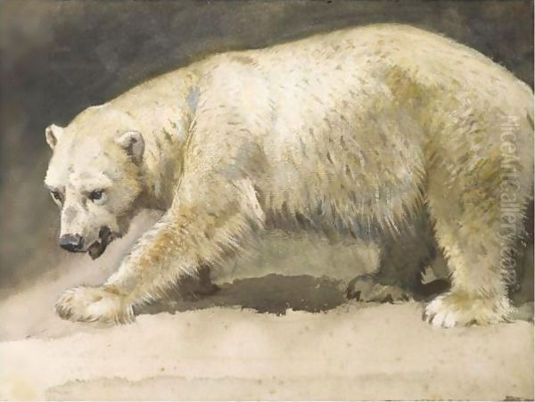 The Polar Bear - view 1