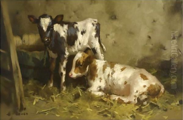 Ayrshire Calves 3 - view 1