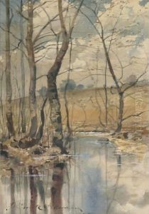 Woodland Pond Woodland Pond
