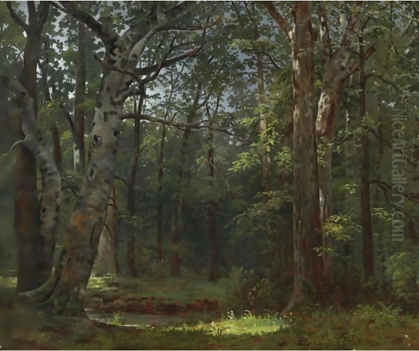The Buttonwood Grove - view 1