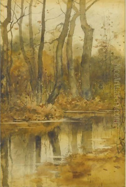 Stream In The Woods - view 1