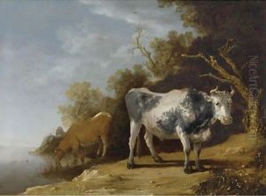 Cattle Standing On A Riverbank