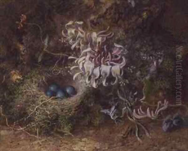 Bird's Nest and Honeysuckle - view 1