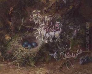 Bird's Nest and Honeysuckle by Jabez Bligh