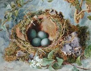 A Nest of Eggs by Jabez Bligh