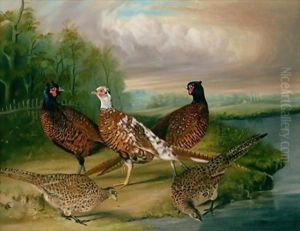 Pheasants by the River Wensum, Norfolk by James Blazeby