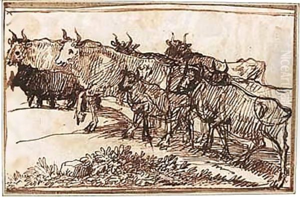 Cattle Ascending A Track Towards The Left - view 1