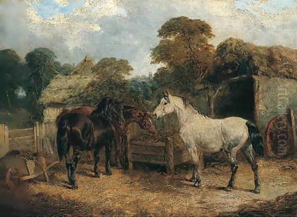 Horses Feeding - view 1