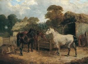 Horses Feeding Horses Feeding