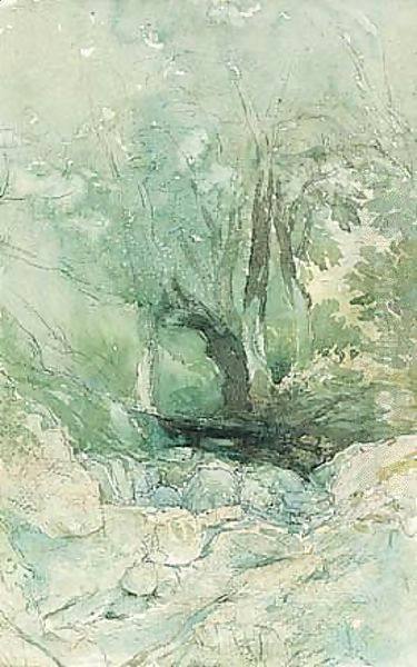 A Woodland Stream - view 1
