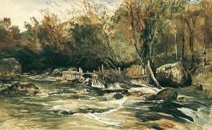Salmon Trap On The River Lledr, North Wales by William James Muller